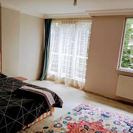 Bed & Breakfast The Closest Hotel To The Airport, Including Breakfast, The Cheapest Hotel *