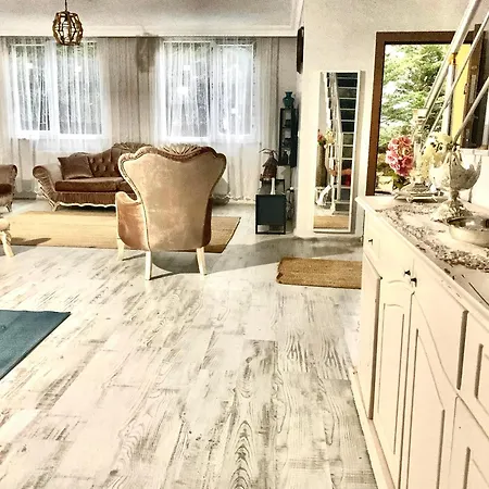 Ahmet Teacher'S Villa, 6 Minutes From Istanbul Airport Bed & Breakfast *