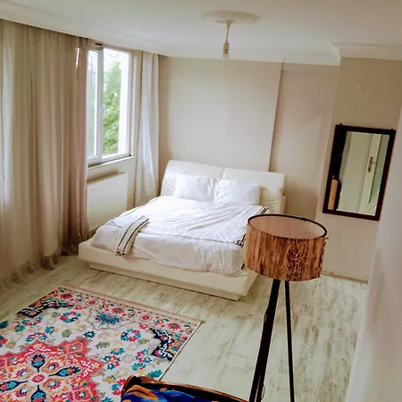 Bed & Breakfast Ahmet Teacher'S Villa, 6 Minutes From Istanbul Airport *